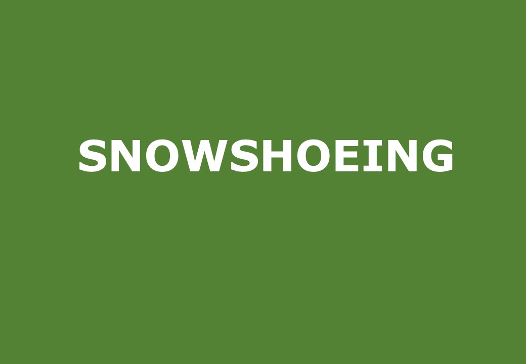 Snowshoeing activities