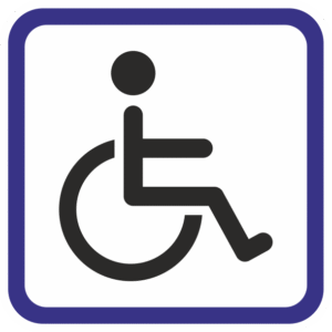 Activitat adaptada per Persones amb mobilitat reduïda